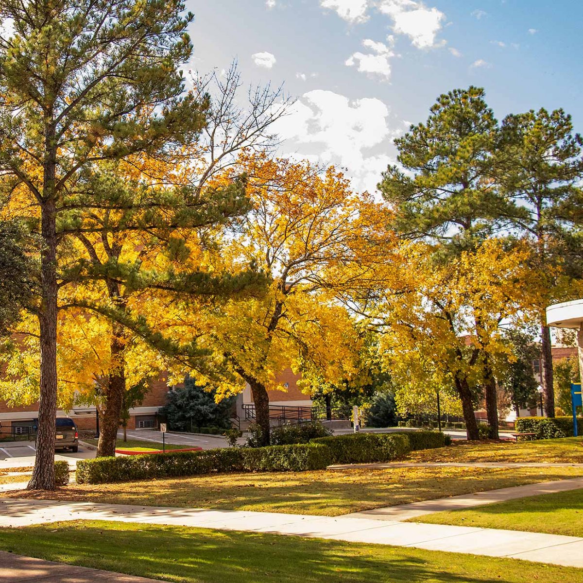 Meet Your SE Recruiters Hero Image