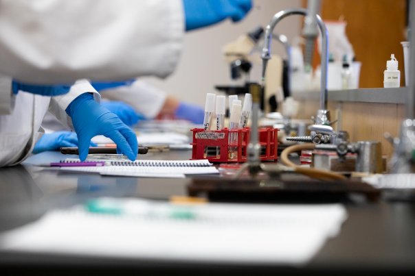Programs & Majors