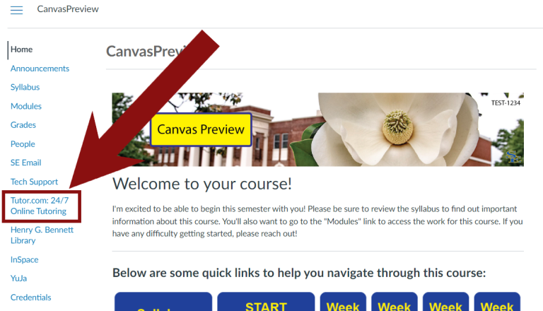 Point Out Tutorial College Student Resources - Center for Instructional Development and Technology