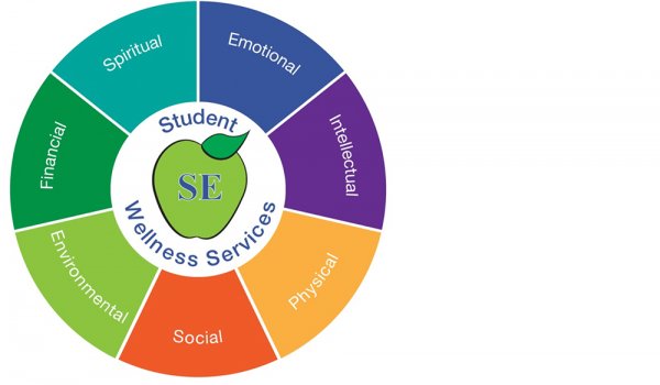 The Wellness Wheel Image