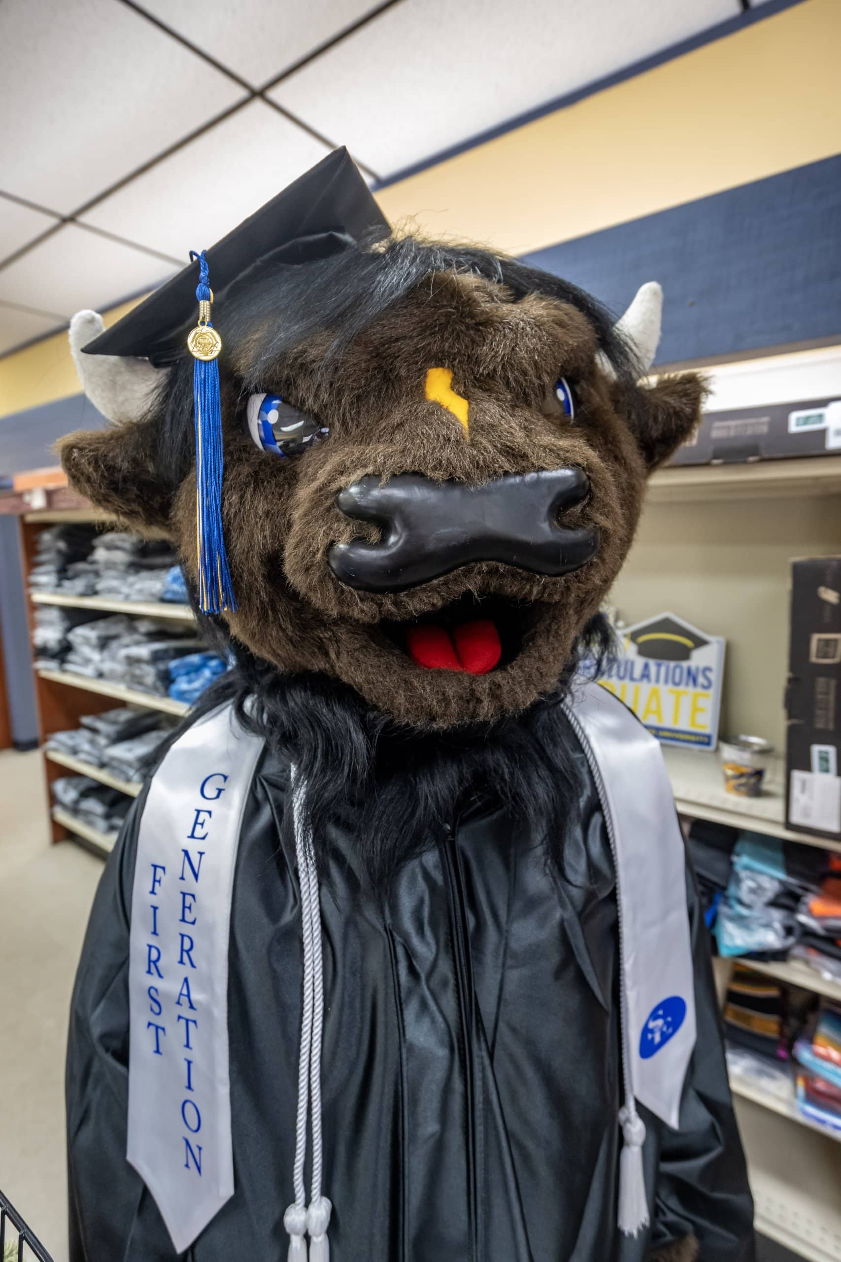 Image of Bolt in Grad cap