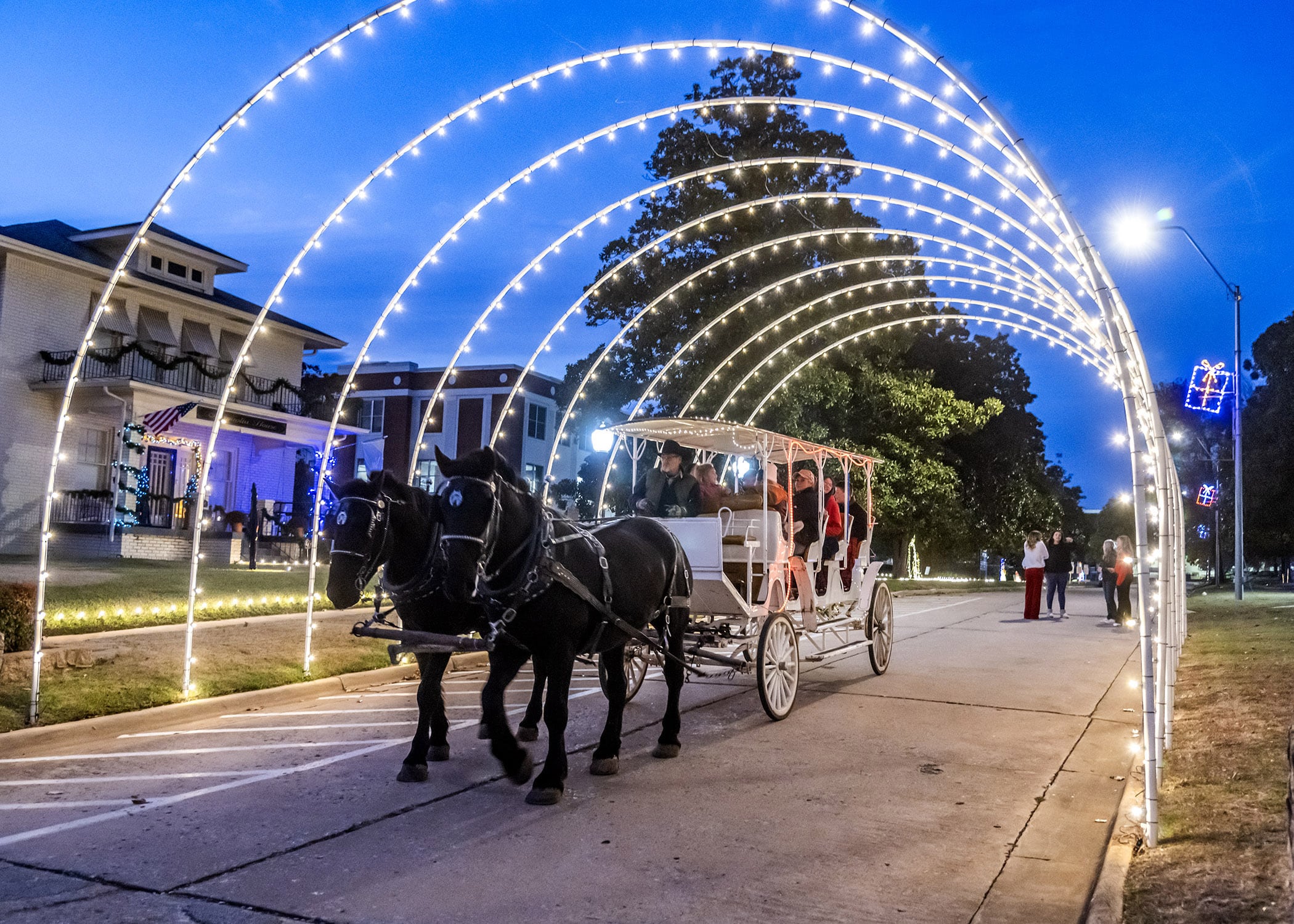 Horse drawn carriage ride with people under a tunnel of lights
