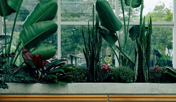 Featured Program: Botany Image