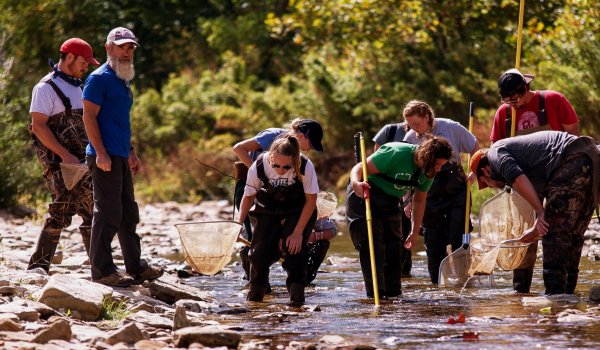 Featured Program: Fisheries & Wildlife Science Image