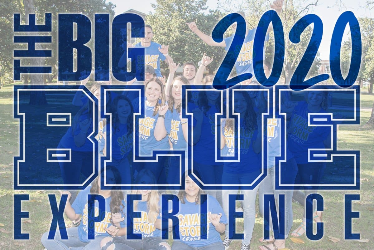 Big Blue Experience 2020 banner