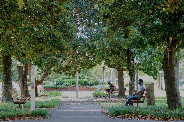 Campus Tours